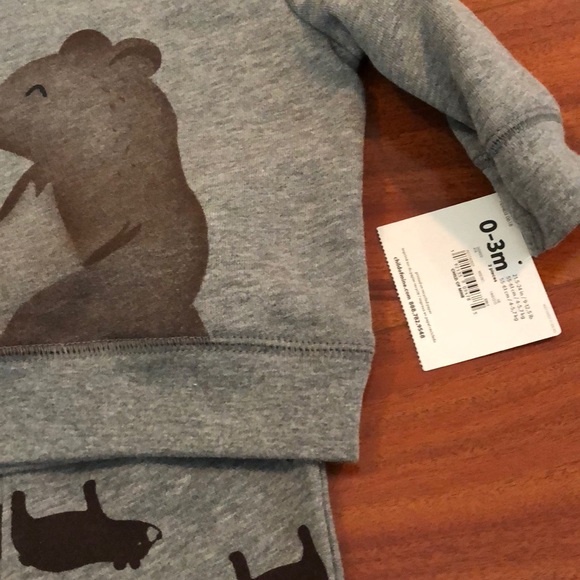 Two sweater outfits and milestone set - Picture 5 of 7